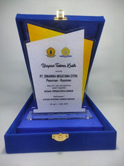 Achievement Award | Corporate Success Recognition