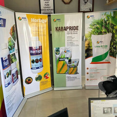 Custom Roller Banners