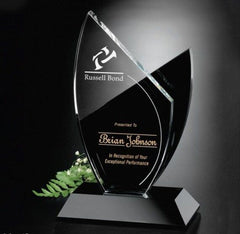 Hall of Fame Award